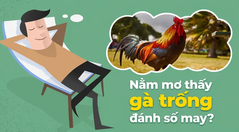Việc giải mã giấc mơ nên giúp người đọc thư giãn và suy ngẫm, không nên trở thành áp lực hay ảnh hưởng đến quyết định thực tế.