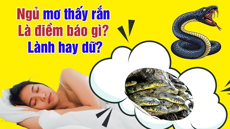 Nằm mơ thấy nhiều rắn là điềm tốt hay xấu?